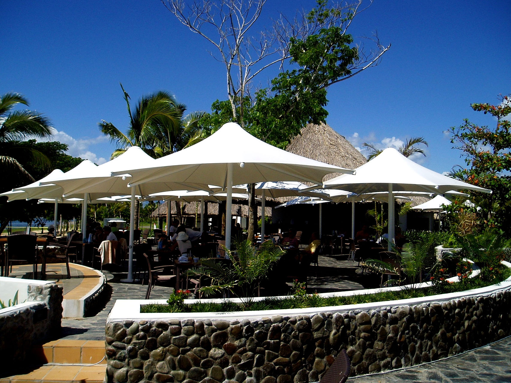 1584519215808836.jpg 1584519215808836.jpg